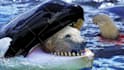 design amazing clickbait animal thumbnail