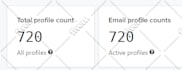 setup klaviyo email marketing flows for shopify ecommerce