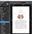 convert your pdf book to fixed layout epub format  for KDP