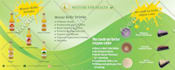 design bifold,trifold brochure, flyer,leaflet,post card in a short time