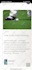 code,help or fix php,html,css,jquery or wordpress