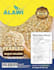 design urgent flyer and brochure