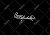 create luxury handwritten signature logo