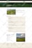 build an amazing 5 page wordpress website with elementor pro