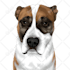 draw cartoon vector pet in 24 hours