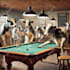 create professional photo manipulation and compositing