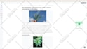 boost your online visibility with professional SEO copywriting