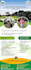 design professional flyer and postcard custom print ready