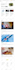 create modern and responsive wordpress website design