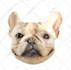 photoshop clipping path services