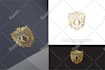 design a modern minimalist professional logo for your brand