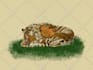 hand drawing classic art illustration dark and vintage