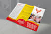 do creative trifold bifold brochure design