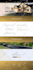 do professional video editing and color corrections