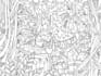 draw complete illustrations, dynamic poses, any complexity of detailing