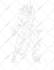 illustrate creature or character concept designs