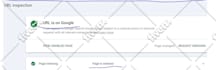 fix google search console errors, shopify indexing issue