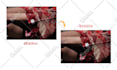 bulk resize images and compress photos