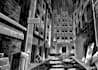 draw black and white illustrations