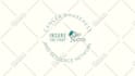 do logo design and custom branding solutions
