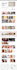 create wordpress website,wordpress website design development,business website