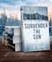 design ebook boxset , 3d book cover, ebook bundle
