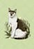 draw a cute pet, cat, dog portrait in my art style