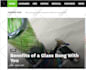 build 20 cbd links on cannabis, marijuana backlinks cbd guest post