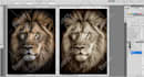 do color separation for screen printing