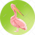 draw your animal pet into vector art cartoon