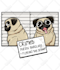 design stickers for you or your business