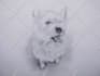 draw hyper realistic animals