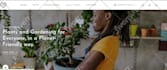 build luxury website design and website development