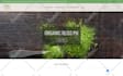 build a website design and ecommerce store using shopify
