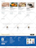 design, redesign, build, rebuild, clone, edit, fix or revamp wordpress website