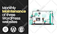 fix elementor bugs or redesign into responsive elementor website