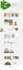 develop a wordpress ecommerce website