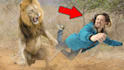 design youtube thumbnail for animal channel