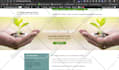 develop or revamp a wordpress website