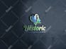 design professional business logo with branding kit