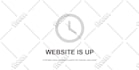 build a premium wordpress website with custom design