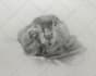 draw your pet in realistic style
