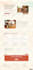 do modern wordpress website design or redesign, website development in 24 hours
