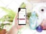 design UI UX for mobile app in fimga