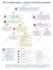 make infographic flow diagram, chart, layout in 24hr