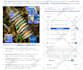 perfect clone any advertorial and sales page with replo