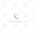 create an amazing business logo design