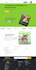 do magento 2 website development and customizations