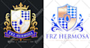 design 5 custom modern logo concepts with vector files