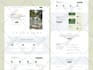 convert figma to webflow or develop webflow landing page as a webflow developer